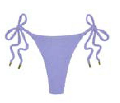 Palm one bottom